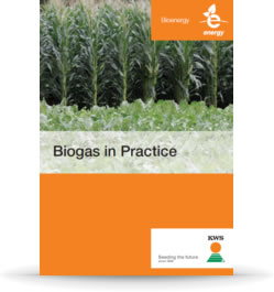 Biogas In Practice
