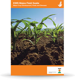 Maize Field Guide
